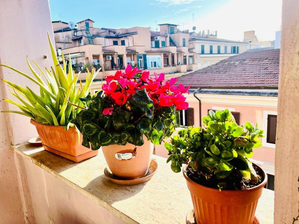 Green Guesthouse Roma Exterior foto